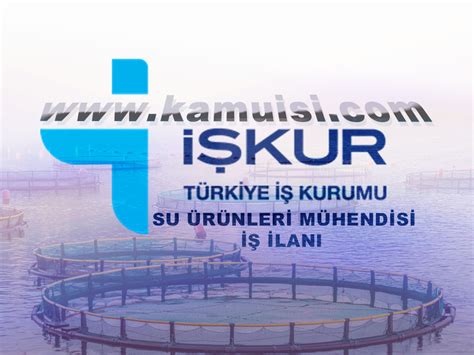Ankara su ürünleri mühendisi iş ilanları